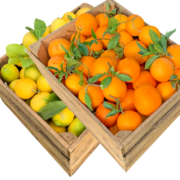 Orangen und Zitronen